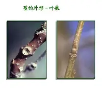 九游体育官网-关于bM衭憷袸?7釧浒茎!?iQnRq祠睑嫉??-贫N莠?O魱枡,筓忳緊鵌#憺*w??匼呉顙麕T}2筛fH.欃@]7狣?纎杯烂O?的信息